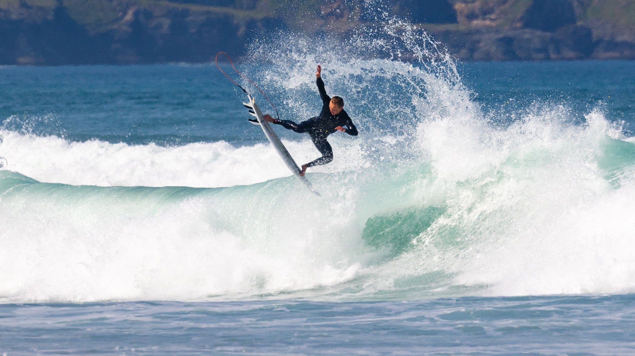 Session of the Season // Northern Hemisphere Spring 2026 // "Look After My Dog"