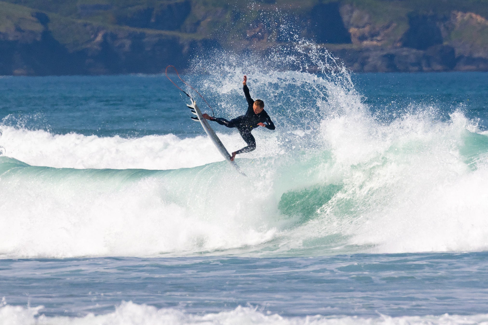Session of the Season // Northern Hemisphere Spring 2026 // "Look After My Dog"