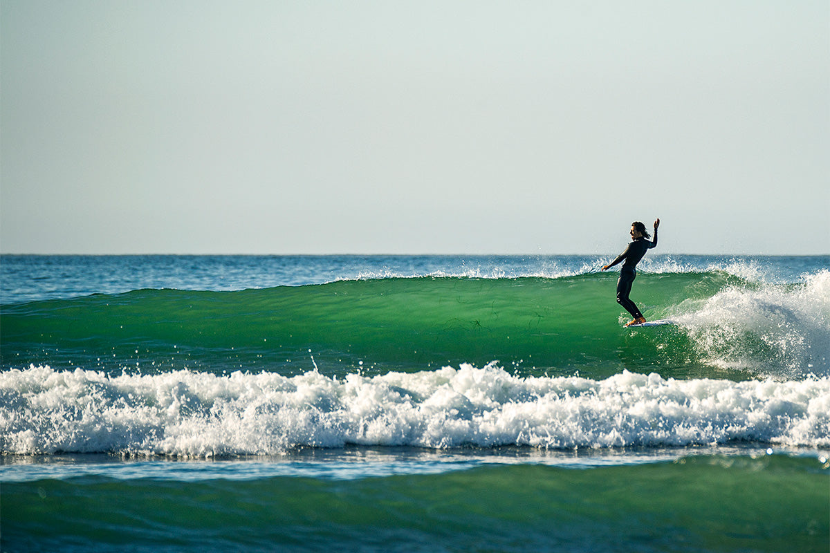 The Baja Bucket List: Edouard Delpero Scores Waves and Whales in Baja Sur